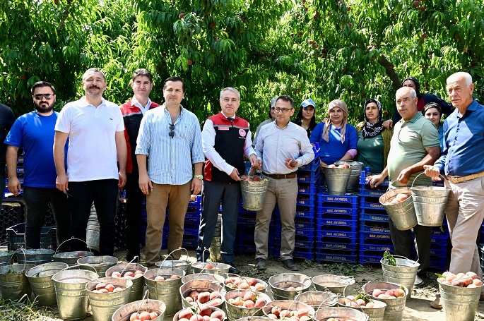 İzmir Selçuk'tan Dünya'ya Şeftali