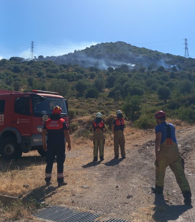 Karaburun, Çeşme Ildırı ve Balıklıova'da yangın 