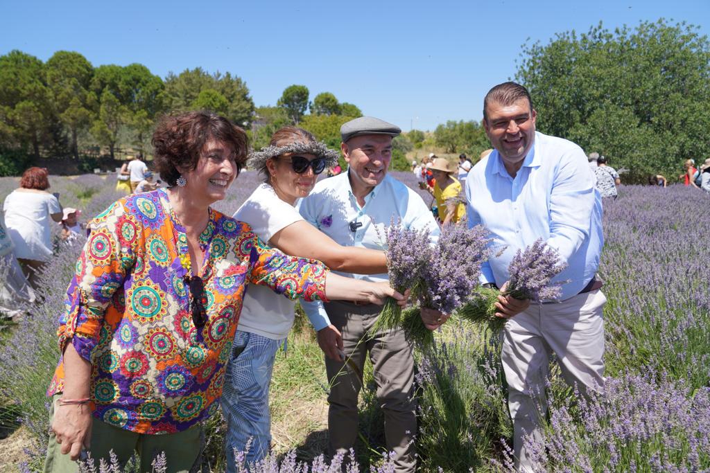 Lavanta filiz aldı, mis kokulu festivale dönüştü